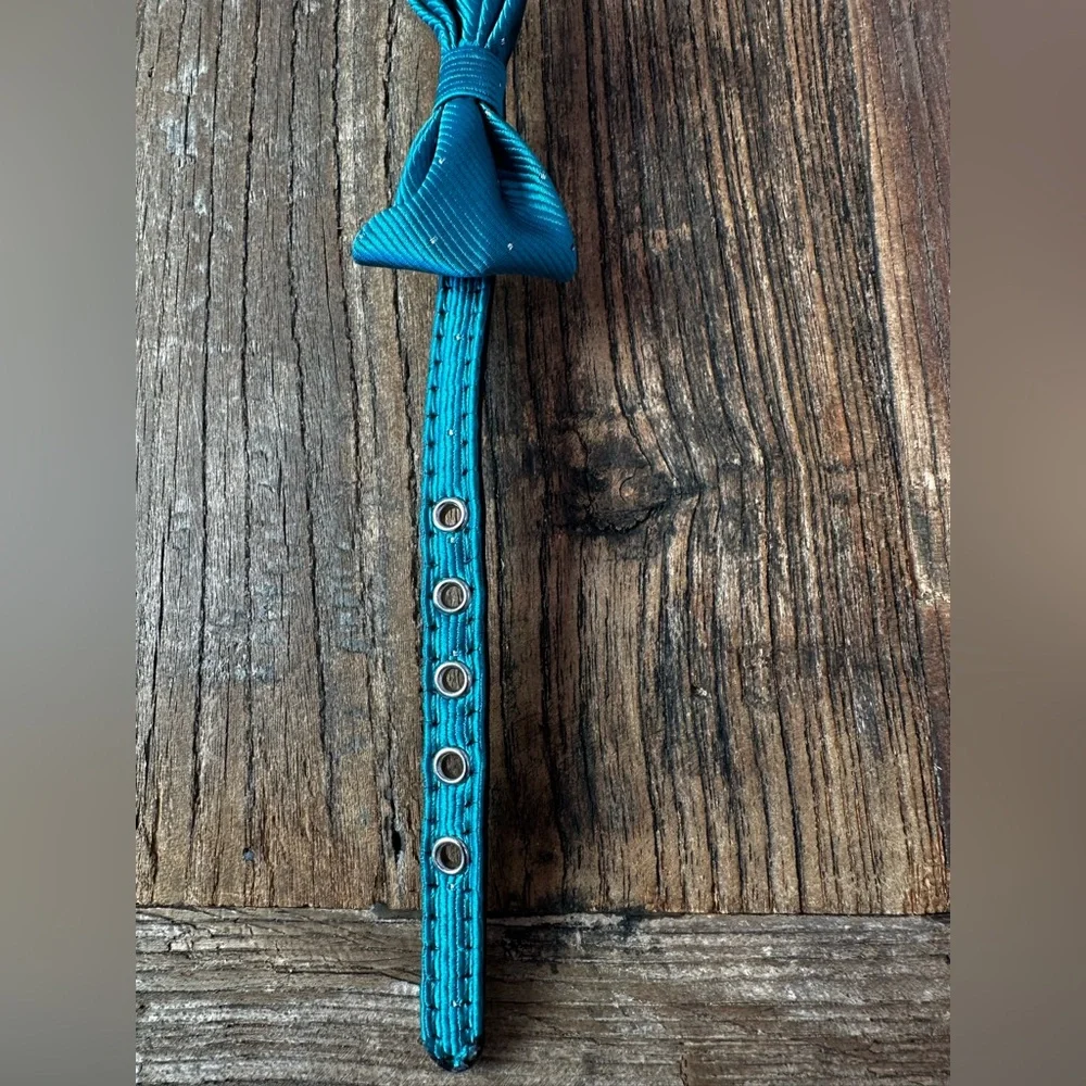 Elegant Teal Dog Collar with Bow